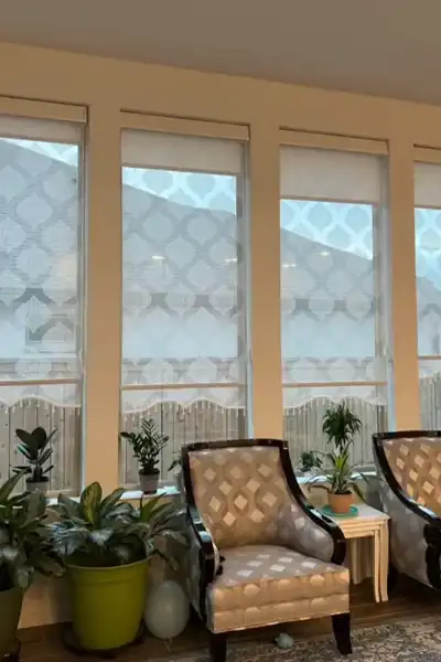 Dual Mechanism Shades