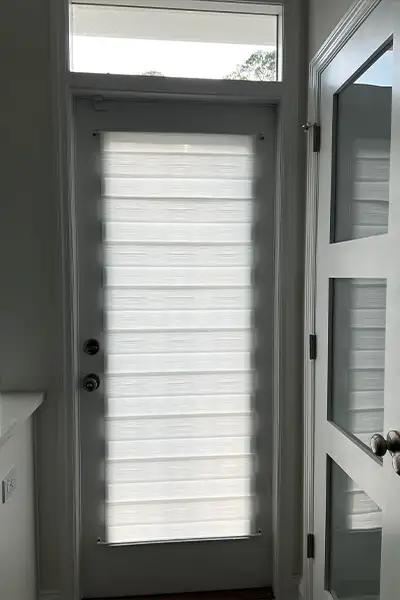 zebra 3