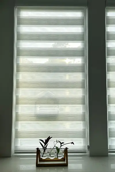 zebra 4